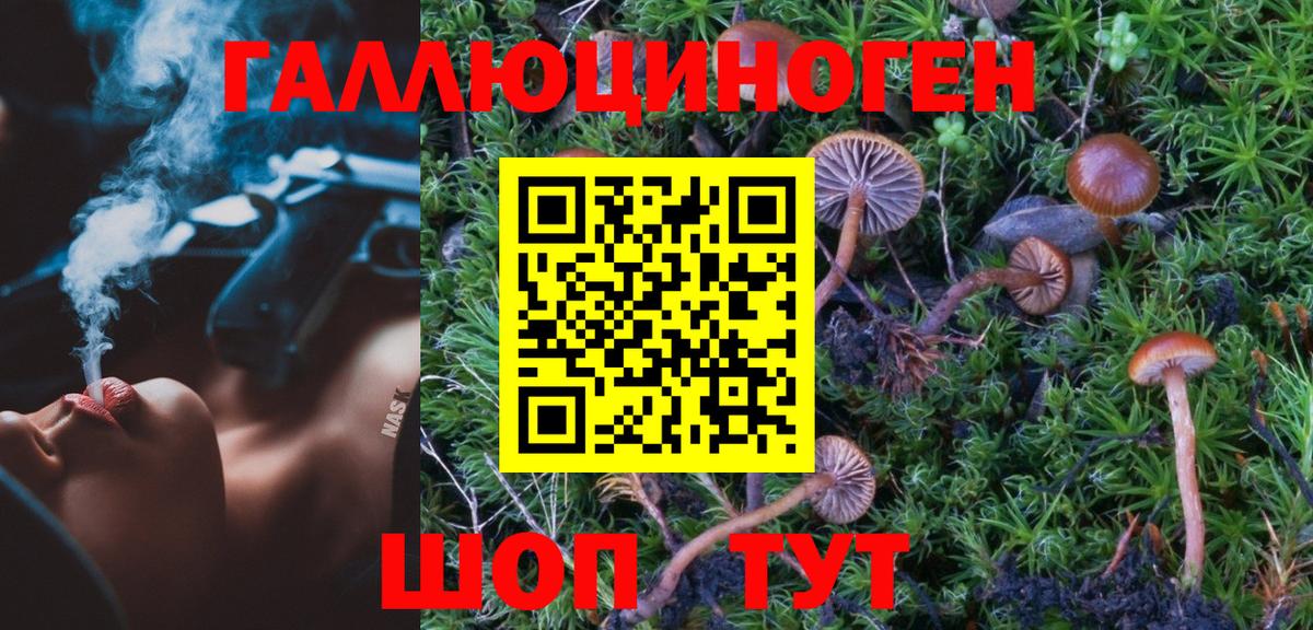 наркотики  Псилоцибиновые грибы MAGIC MUSHROOMS  Вход с VPN  Асбест 